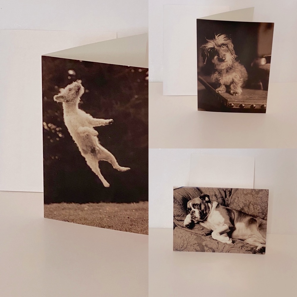 Lot of 13 Dog Blank Greeting Cards w/envelopes 128